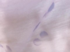 変態 美少女 ななみちゃん💕女子校生の美脚💕パイパン💕素人 日本人の自画撮りです💕 - Screenshot 1 of 16 - 日本人