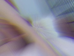 Teaser