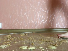 UNAWARE TRANNY GIANTESS WALKS ABOVE WAFFLES AND COOKIES AND CRUSHES THEM - 1 (CRUSH/FOOT FETISH)