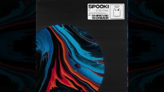 Spooki - U Go Crazy (ft. Shreviewonder)