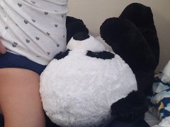 Horny humping new panda plushie