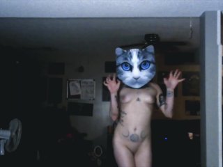 wierd, music, solo female, kitten