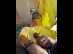 Public Bus Quickie Masturbation