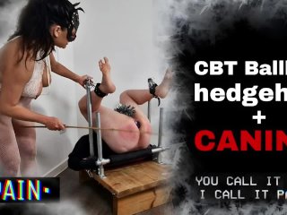 Femdom CBT Caning Butt Plug Bondage Bench BDSM Pegs