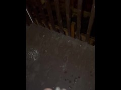 Looking to get caught