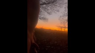 Naked walk in woods by road
