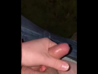 Wanking off and shooting my load in the public countryside