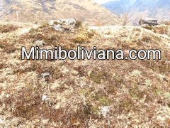 Dando hasta el ultimo aliento... cojiendo a 4200m de altura en la laguna Humantay, Cuzco, Peru 😜