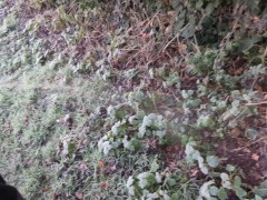 Pissing at work in a cold field