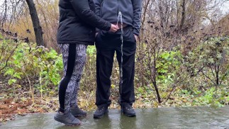 Правила тещи