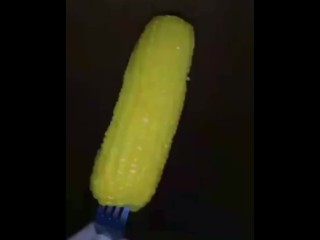 White Chick Takes Corn whole