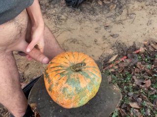 dick in pumpkin, pumpkin, german, masturbation