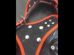 BabeJuicy Harness Belt Review - Screenshot 9 of 16 - Adult Toys
