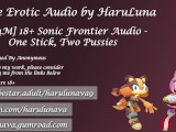 18+ Audio - One Stick, Two Pussies