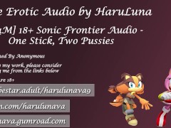 18+ Audio - One Stick