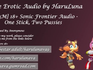 sonic, teen, erotic audio, amy rose sonic