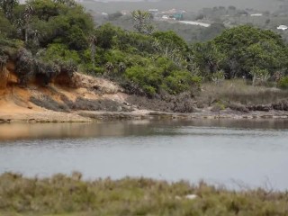 Fora Para Uma Caminhada Parte 3