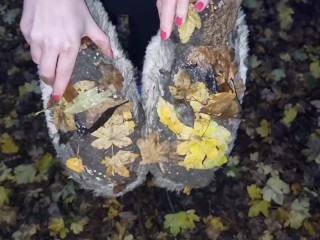 Walk in Woods in my Hot Slippers (before and After)