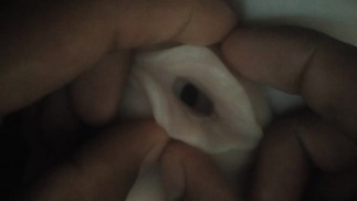 爸爸今晚要给你养小花！他躺下时呻吟