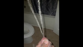Spraying piss all over My wife’s sisters house