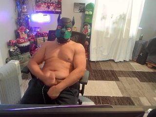 Thick puppy out to play