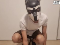 Puppy Barking For The Camara Puppy play , pet play