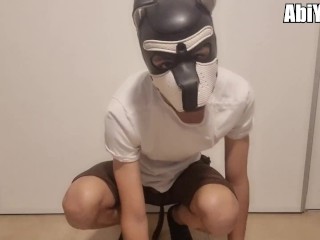 Puppy Barking For The Camara Puppy play , pet play