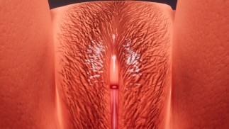 POV 女同性恋性感舔猫陈列室 4K