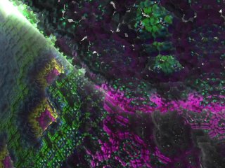 Santa's Lil Helper gets in heat and Breeds with Lusty Kitsune  A Christmas Special  VRChat ERP