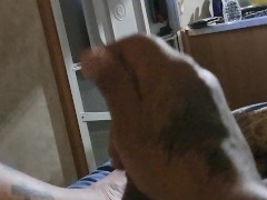 Jackin - Screenshot 4 of 16 - Hard Dick