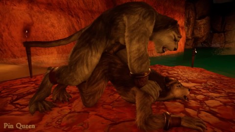 Wolf y tigre gris encontraron un lugar apartado en una cueva para tener sexo en secreto - Wild Life