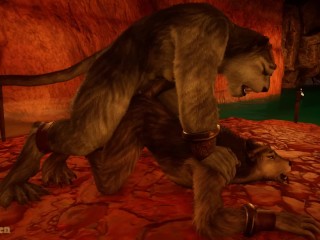 Wolf y Tigre Gris Encontraron un Lugar Apartado En Una Cueva Para Tener Sexo En Secreto - Wild Life