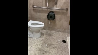 在肮脏的 WaWA 加油站浴室里撒尿