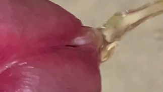 Сборник Моча и Сперма