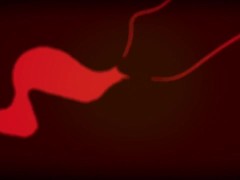 animacion anal 3d 5/16