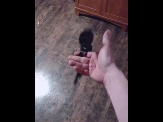 cosplay, toys, vertical video, solo male