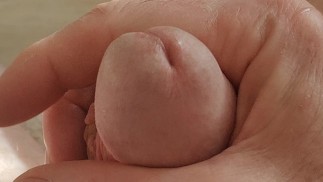 迷人的龟头，快速的手淫和美味的精液。精液在舞台后面被吃掉了）