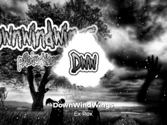 DownWindWings - Ex Rex