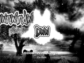DownWindWings - Ex Rex
