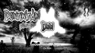 DownWindWings - Ex Rex