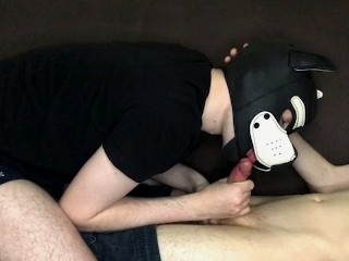 子犬のマスクのguyは彼のボーイフレンドのコックを吸って、ぐいと動かします
