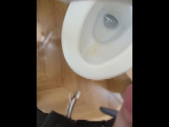 公衆トイレオナニー　大胆にさらけ出したチンポから大量射精 - Screenshot 14 of 16 - Cumshot