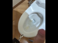 公衆トイレオナニー　大胆にさらけ出したチンポから大量射精 - Screenshot 16 of 16 - 大量 射精