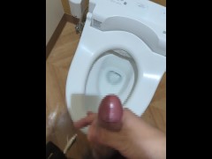 公衆トイレオナニー　大胆にさらけ出したチンポから大量射精 - Screenshot 2 of 16 - オナニー
