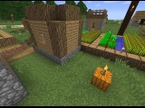 The villager project (I just wanted to keep them safe) - Minecraft Java modded glitch