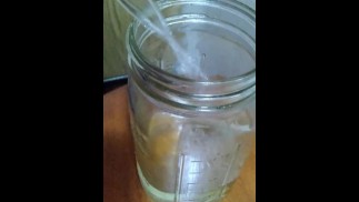 Making Pup Abra Something to Drink