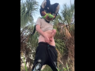 Furry Exhibitionist Showing off in Public.