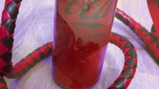 Просто хозяйка