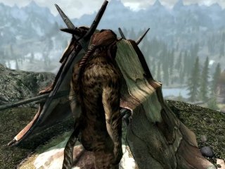 Skyrim - Dragonborn and Khajiits