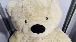 POV Of A GIANT Plush Teddy Bear Humping Cum On The Muzzle